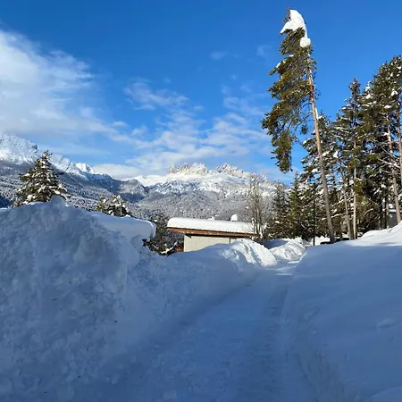 Con Vista - Olimpiadi 2026 Chalet Vodo Cadore